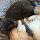사랑모아 헤어샵
