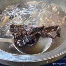 유정가든 | 구례 현지인 맛집 유정가든 버섯전골 내돈내산