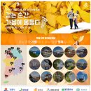 충주피디코리아 | 명사동행 충주 풍경길 걷기축제, 강과 오솔길과 갈대가 어우러진