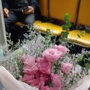태평양화원 이미지