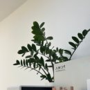 송원헤어샵 | 목포미용실 헤어 속눈썹 전문 바이름뷰티샵