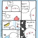 돌고래랑 매너티 이미지