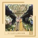 부산 아기 돌잔치 클레이디뷔페 후기