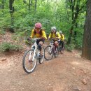 정모 카카오 검색결과