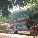 서천 봉서사 목조아미타여래삼존좌상 이미지