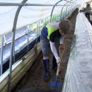 논산시청 이미지