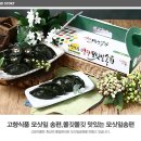 고향식품 이미지