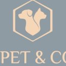 제이펫컴퍼니 이미지