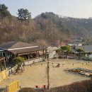 펫밀리펜션 | [가평] 1박 2일 천연 잔디 운동장에서 댕댕이 뽕 뽑고 온 후기_가평 펫밀리애견펜션