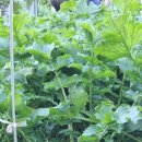 관악산현대홈타운 이미지