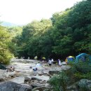 문경의 대야산(930.7m) 용추계곡 목요(7/29)정기산행 이미지