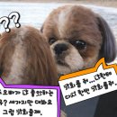 가을동화2 이미지