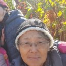 기영농장 이미지