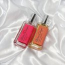 아리따움신가점 | 아뜰리에 코롱 퍼시픽라임 30ml 내돈내산 후기! (feat. 포멜로 파라디, 아리따움 향수 공용기)