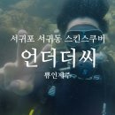 서귀포 자치경찰대 | [서귀포 서귀동] 제주도스킨스쿠버 후기(Feat. '언더더씨 스쿠버다이빙')