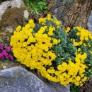 바름정비관저모터스 이미지