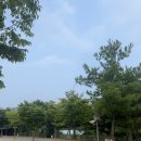 [연천]미끄럼틀 수영장이 있는 나린오토캠핑장 다녀온 후기