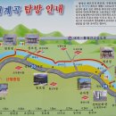 월림교 티스토리