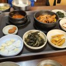 나만 알고 싶은 제주도민 맛집 순희뽀글이 (ft. 문즈 커피)