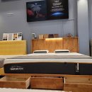 포레초이스 이미지