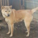 낙천농장 이미지