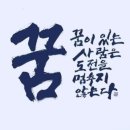 치매예방통합 프로그램 자격과정 | 실버통합치매예방 최고프로그램 짐볼난타지도사 자격과정안내 6월28일 토요일 집중