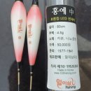 관리낚시터 이미지