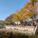 과천중앙빌딩 | 과천 국립중앙박물관 가을나들이 (식당 라운지디 후기)