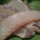 바위섬횟집 이미지