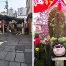 바로올레 이미지