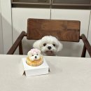 댕콤달콤 이미지