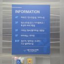 내돈내산 수영 초보 두 명의 두 번째 수영장 시립구로청소년센터 수영장