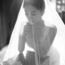 성식축사 이미지