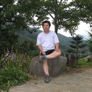 민박어항 Daum카페