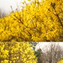 응봉개나리어린이공원 이미지