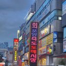 죽도회도매