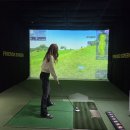 에버스크린골프 이미지