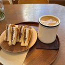 에셀트리컴퍼니 이미지