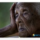 행복한느림보 이미지