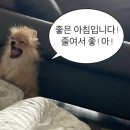 미미일본어