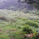 신정농장 이미지