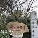 정관장홍삼기장점 | 부산 기장 가볼만한곳: 해동용궁사 아이동반 방문 후기