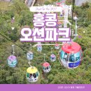돌고래카 | 홍콩 오션파크 입장권 케이블카 놀이기구 아쿠아리움 돌고래쇼 후기