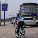 공단로가로수 티스토리