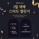 필라테스스튜디오그린 | 울엄마의 찐 필라테스 센터였던 영등포구청 필라테스 그린에서 1:2 듀엣 필라테스 솔직 후기
