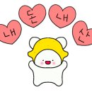 폼폼케이크(pompomcake)