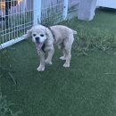 뽀찌PC | 250824 스님 불교 재밌나요