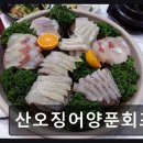산오징어양푼회포차