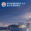 물고기 미포 이미지