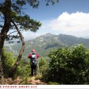 곡성-160 이미지